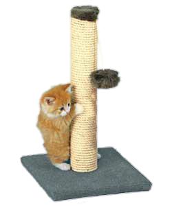 a scratching post